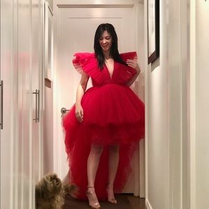 HARD TO FIND!!! Giambattista Valli x H&M Tulle Dress